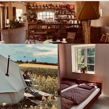 Bygagergaard Guest House Askeby ภายนอก รูปภาพ